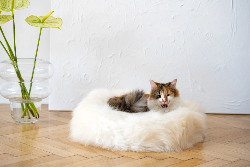 Round Natural Sheepskin Pet Bed - White