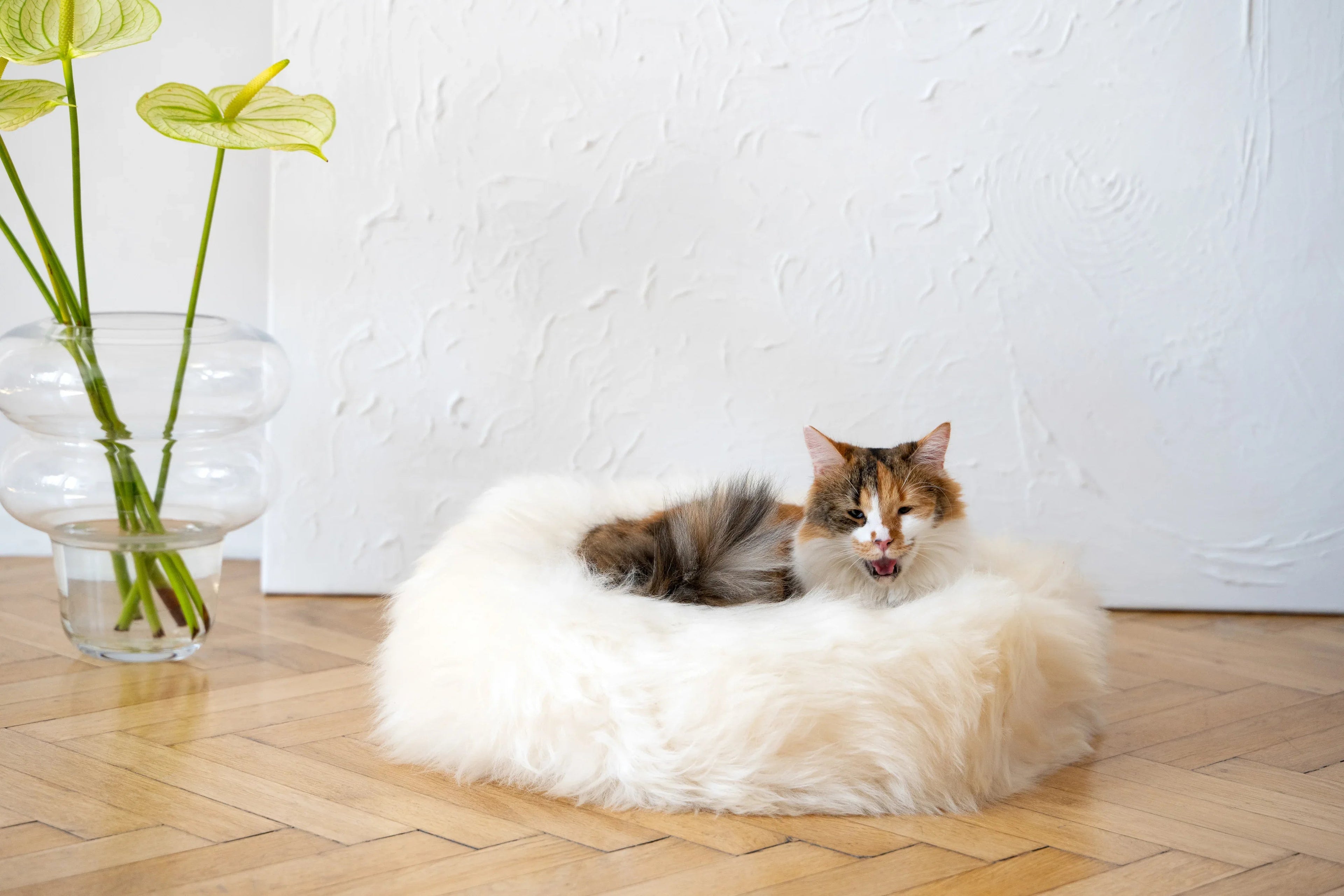 Round Natural Sheepskin Pet Bed - White
